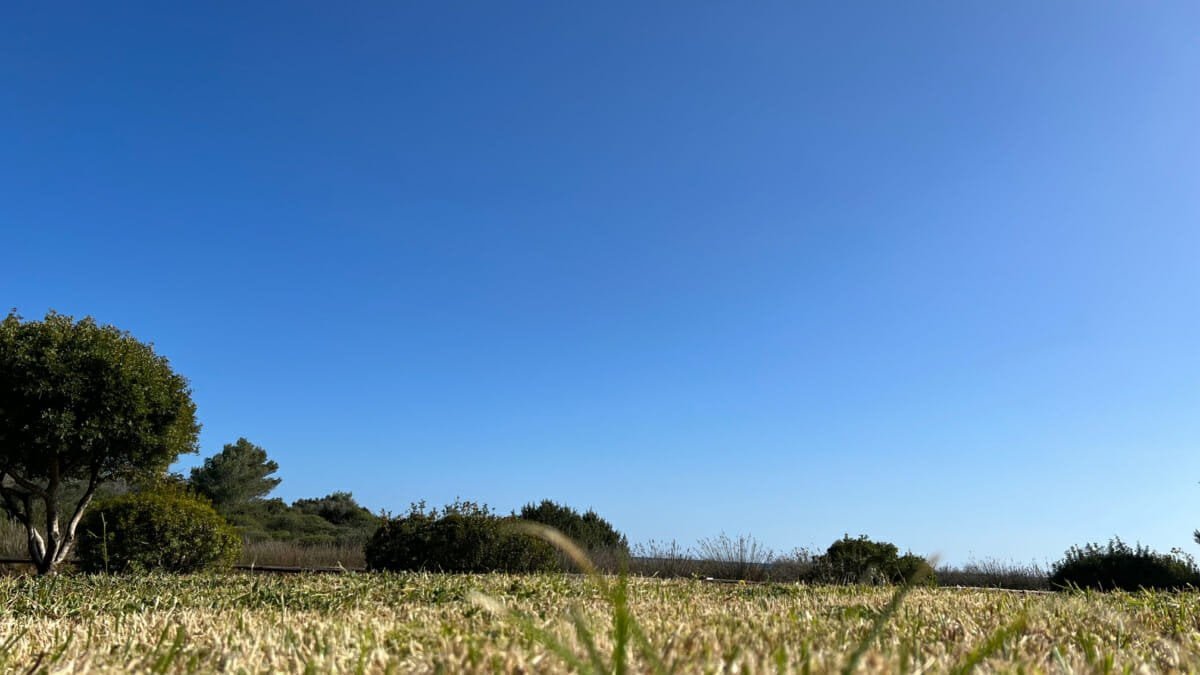 Prato per pic nic Cala Brandinchi