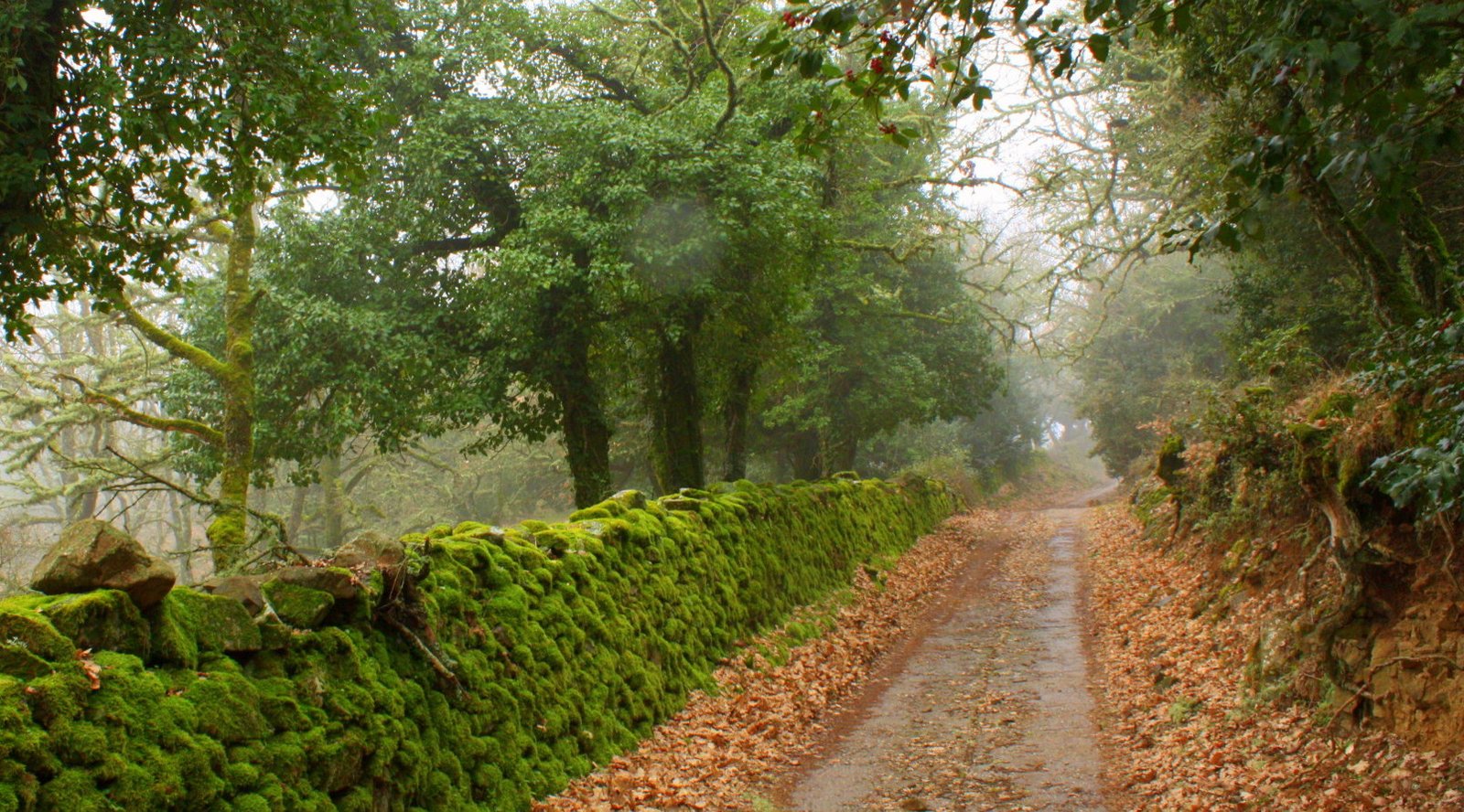 Autunno in Sardegna