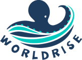 Worldrise, avvistamento delfini